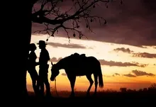silhouettes film horses australia 1466x916 wallpaper Art HD Wallpaper